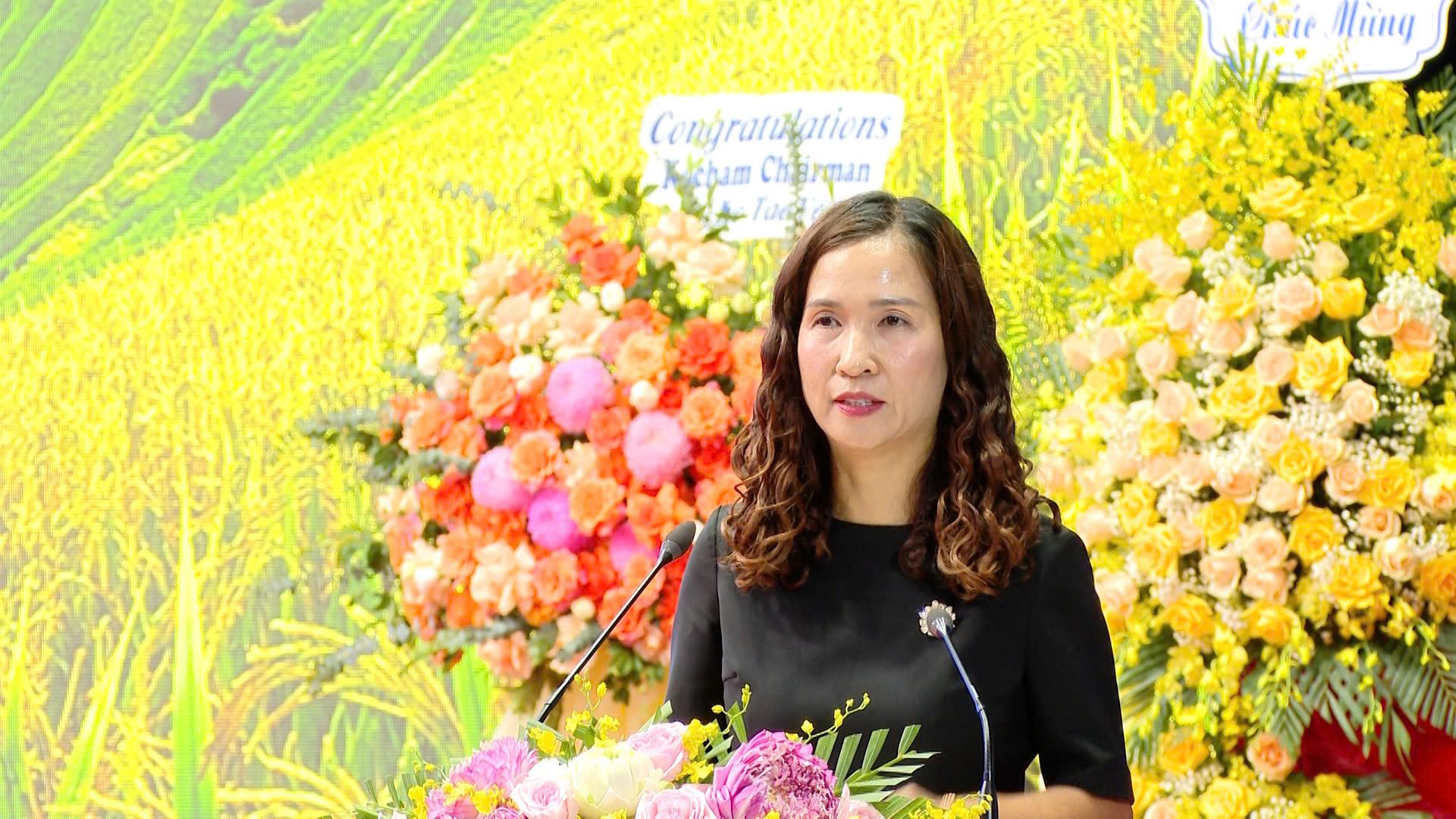 KCN Tran Yen Lao Cai (02)
